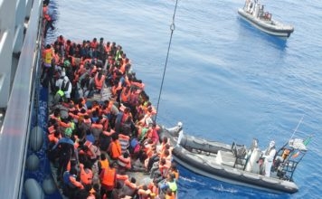 amnesty-italie-salvini-migrants-356x220.jpg