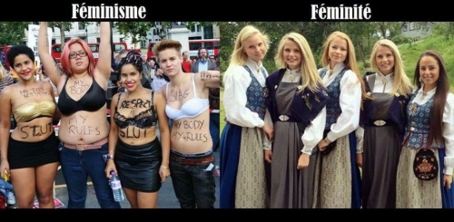 feminisme-vs-feminite.jpg